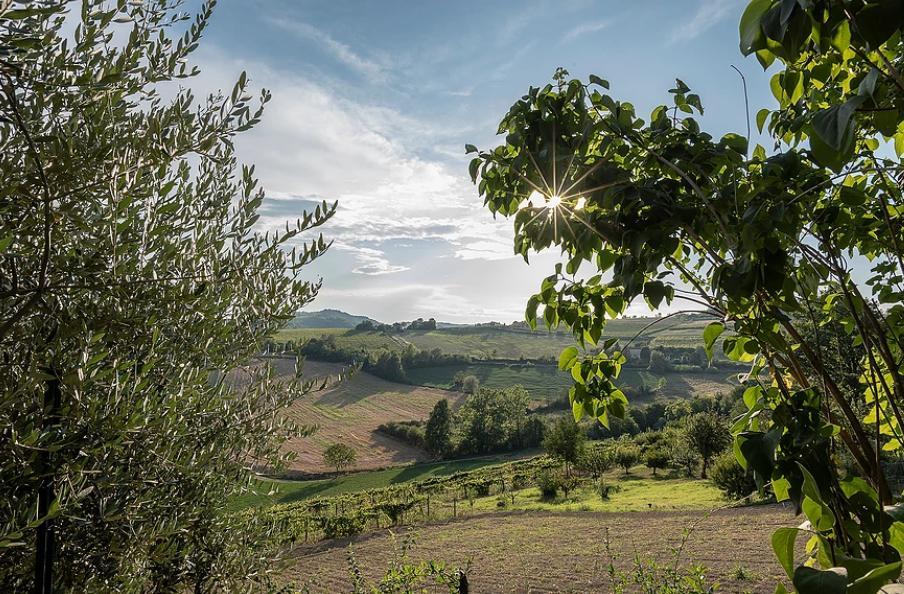 B&B Carletto Cella Monte ภายนอก รูปภาพ