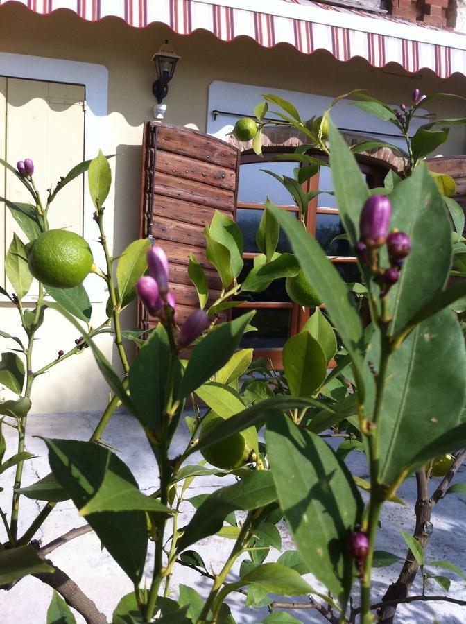 B&B Carletto Cella Monte ภายนอก รูปภาพ