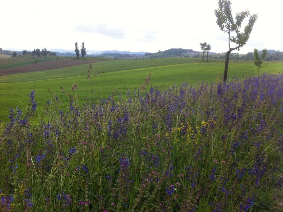 B&B Carletto Cella Monte ภายนอก รูปภาพ