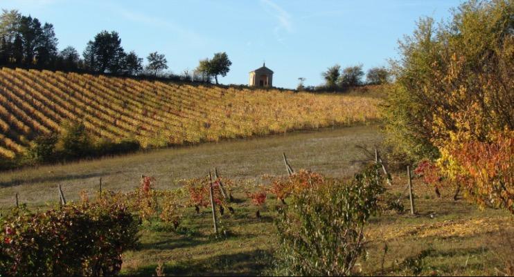 B&B Carletto Cella Monte ภายนอก รูปภาพ